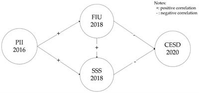 The longitudinal associations between perceived importance of the internet and depressive symptoms among a sample of Chinese adults
